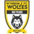 温纳姆狼队